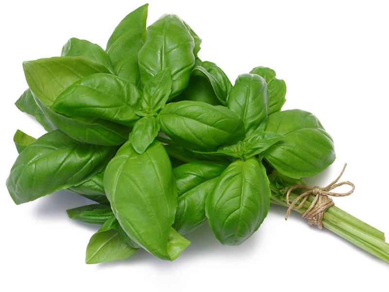 ریحان برای دفع سنگ کلیه