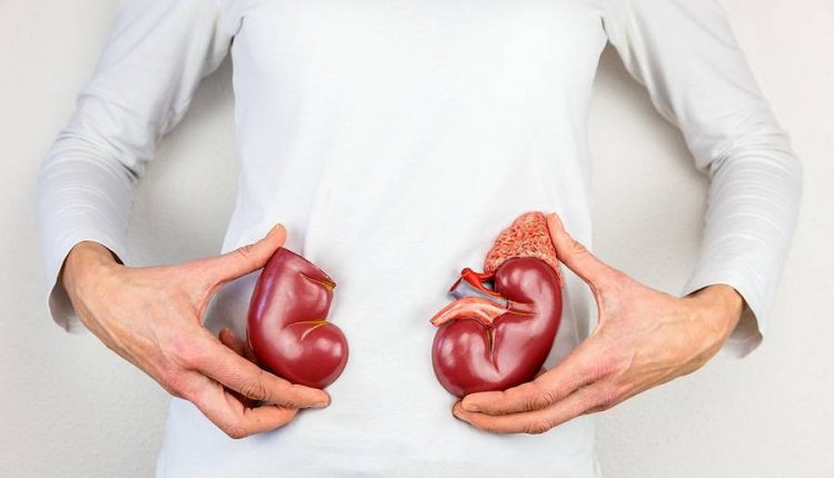 مراقبت های بعد از پیوند کلیه